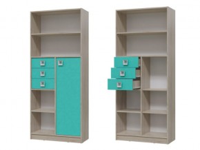 6-9414 Шкаф стеллаж с дверкой и ящиками в Челябинске - mebel74.com | фото