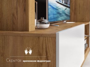 Гостиная Флекс в Челябинске - mebel74.com | фото 4