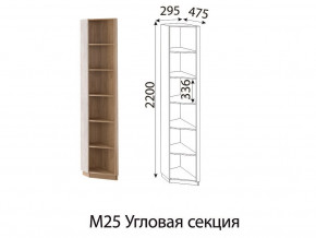 М25 Угловая секция в Челябинске - mebel74.com | фото