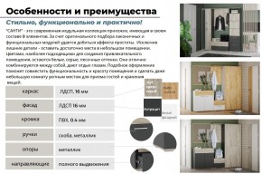 Прихожая Санти Антрацит в Челябинске - mebel74.com | фото 5