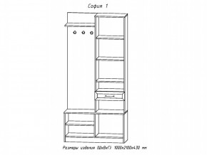 Прихожая София 1 в Челябинске - mebel74.com | фото 2