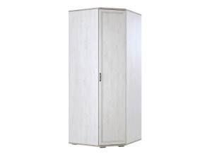 ШК-210 Шкаф в Челябинске - mebel74.com | фото