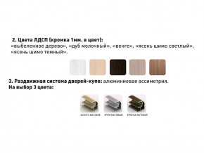 Шкаф-купе Акцент-Сим Д 1200-600 беленое дерево в Челябинске - mebel74.com | фото 3