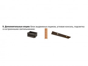 Шкаф-купе Акцент-Сим Д 1200-600 Венге в Челябинске - mebel74.com | фото 4