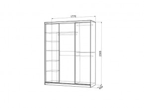 Шкаф-купе Бассо 1-600 маки венге в Челябинске - mebel74.com | фото 3