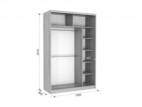 Шкаф-купе Гранд 1-600 птицы дуб сонома в Челябинске - mebel74.com | фото 2
