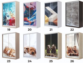 Шкаф-купе Хит 23-14-77 фотопечать 25 Шимо Темный в Челябинске - mebel74.com | фото 6