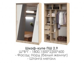 шкаф-купе ПШ-2.9 1500 Норд Белый жемчуг 1500 в Челябинске - mebel74.com | фото