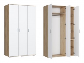 Шкаф ШР 3 в Челябинске - mebel74.com | фото