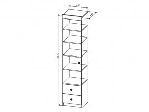 Шкаф Сканди ШД450.1 в Челябинске - mebel74.com | фото 2