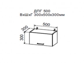 Шкаф верхний ДПГ500 горизонтальный в Челябинске - mebel74.com | фото