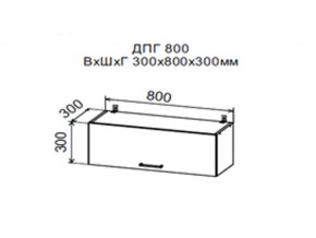 Шкаф верхний ДПГ800 горизонтальный в Челябинске - mebel74.com | фото