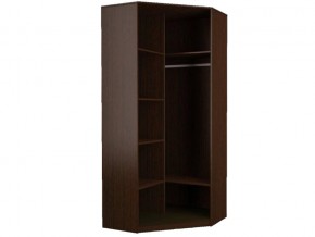 Шкаф угловой двухдверный без зеркала в Челябинске - mebel74.com | фото 2