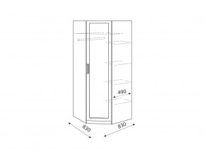 Шкаф угловой Дуглас модуль 1 в Челябинске - mebel74.com | фото 2