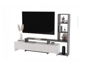 Тумба ТВ Лия графит/белый в Челябинске - mebel74.com | фото 2